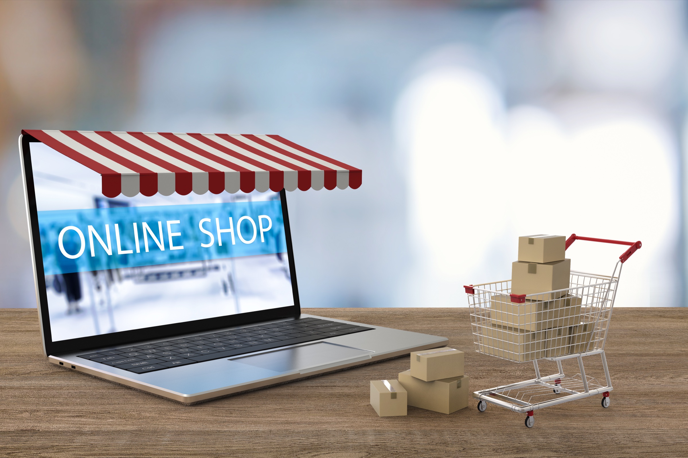 Online shopping laptop and shopping cart for merchants